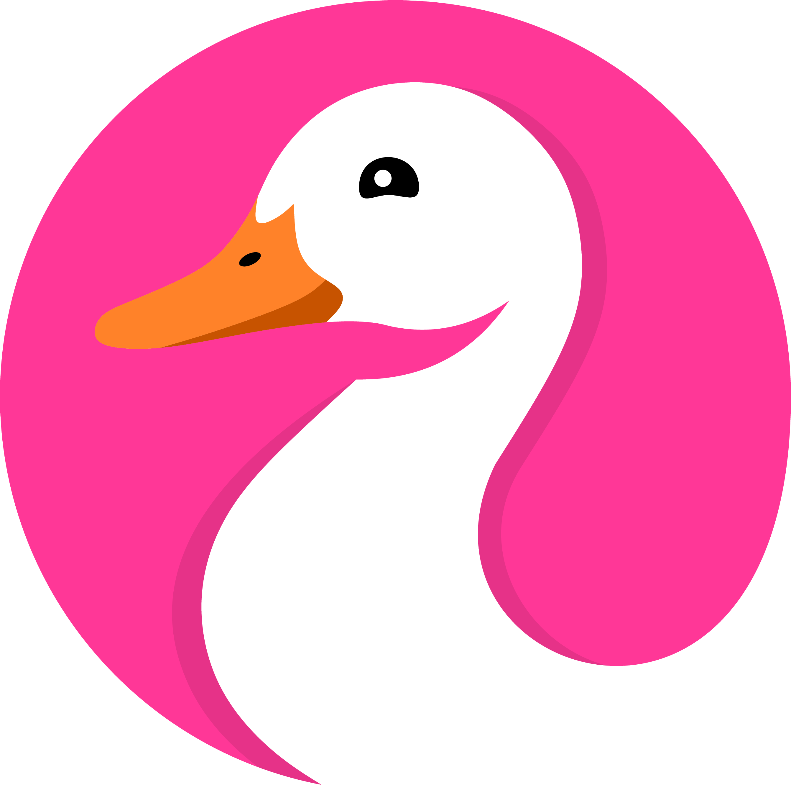 Duckface Design